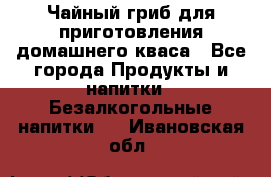 Чайный гриб для приготовления домашнего кваса - Все города Продукты и напитки » Безалкогольные напитки   . Ивановская обл.